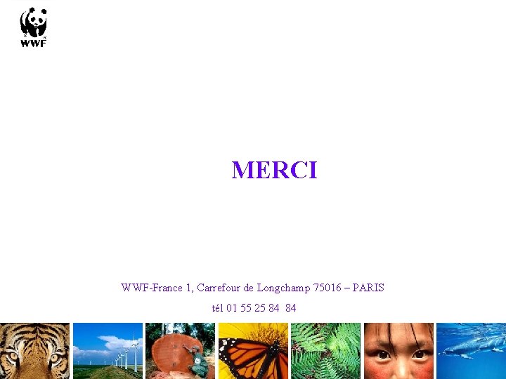 MERCI WWF-France 1, Carrefour de Longchamp 75016 – PARIS tél 01 55 25 84