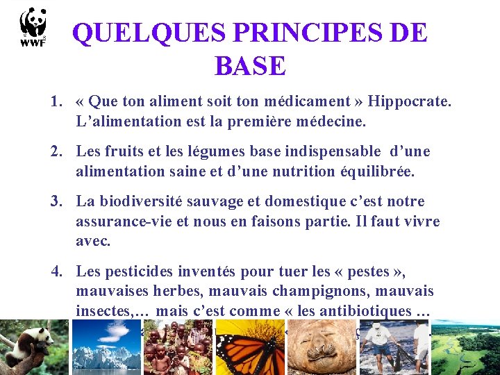QUELQUES PRINCIPES DE BASE 1. « Que ton aliment soit ton médicament » Hippocrate. QUELQUES PRINCIPES DE BASE 1. « Que ton aliment soit ton médicament » Hippocrate.