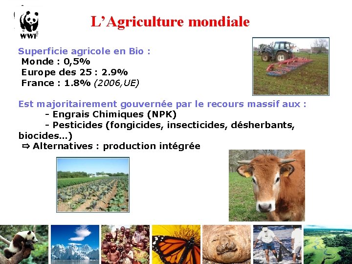 L’Agriculture mondiale Superficie agricole en Bio : Monde : 0, 5% Europe des 25