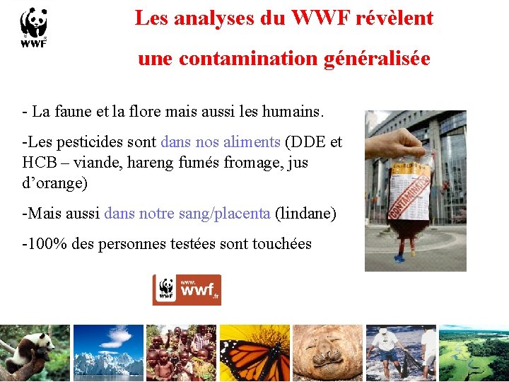 Les analyses du WWF révèlent une contamination généralisée - La faune et la flore