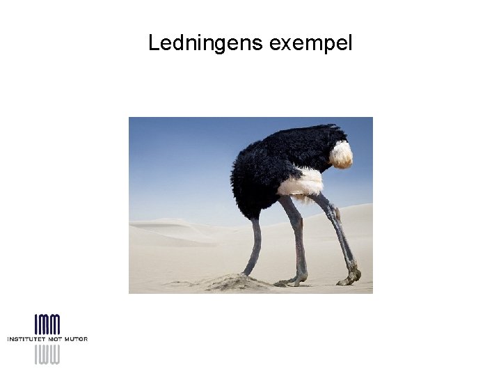 Ledningens exempel 