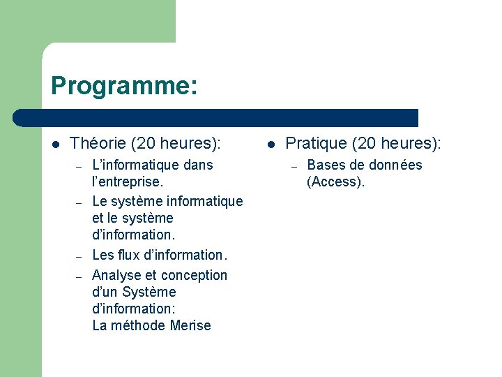Programme: l Théorie (20 heures): – – L’informatique dans l’entreprise. Le système informatique et
