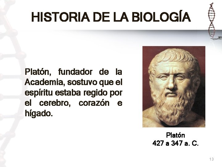 HISTORIA DE LA BIOLOGÍA Platón, fundador de la Academia, sostuvo que el espíritu estaba