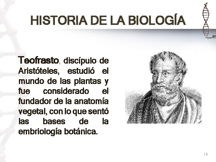 HISTORIA DE LA BIOLOGÍA Teofrasto, discípulo de Aristóteles, estudió el mundo de las plantas
