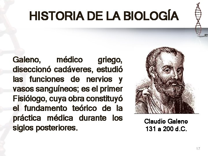 HISTORIA DE LA BIOLOGÍA Galeno, médico griego, diseccionó cadáveres, estudió las funciones de nervios