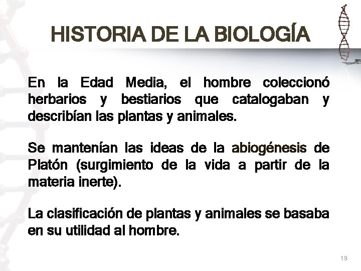 HISTORIA DE LA BIOLOGÍA En la Edad Media, el hombre coleccionó herbarios y bestiarios