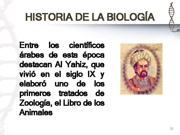 HISTORIA DE LA BIOLOGÍA Entre los científicos árabes de esta época destacan Al Yahiz,