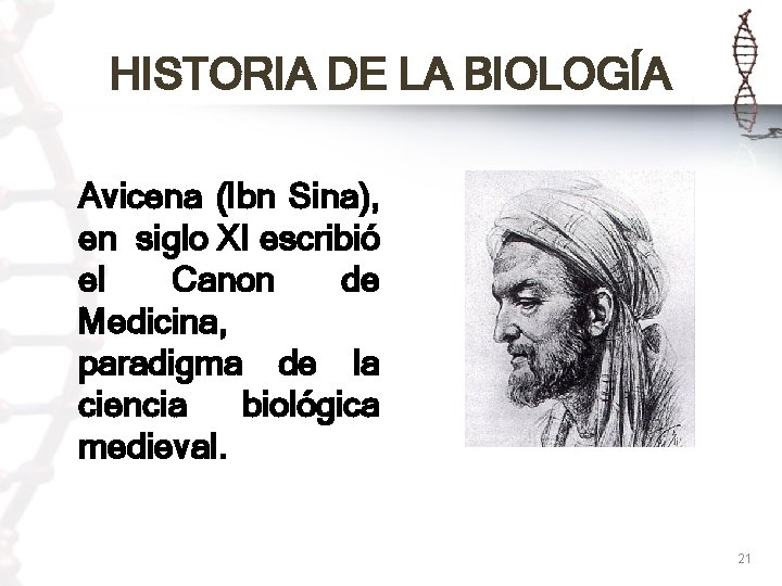 HISTORIA DE LA BIOLOGÍA Avicena (Ibn Sina), en siglo XI escribió el Canon de