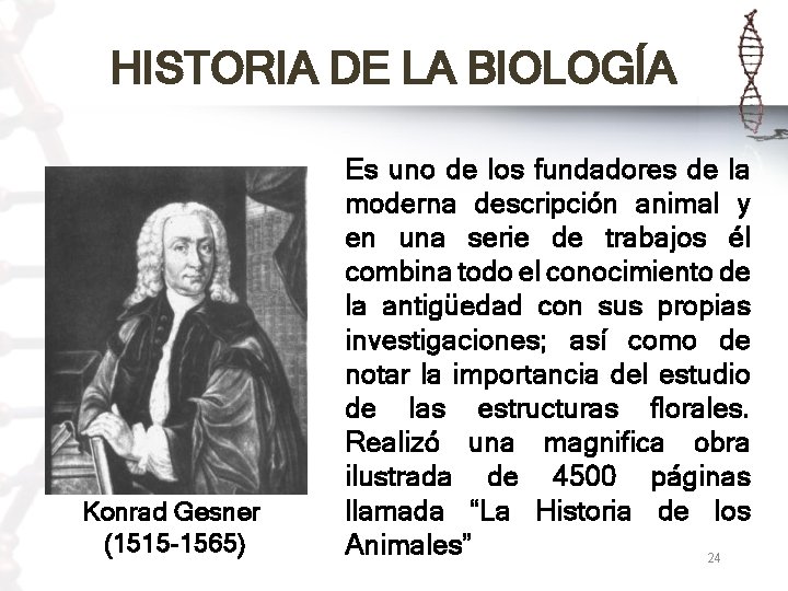 HISTORIA DE LA BIOLOGÍA Konrad Gesner (1515 -1565) Es uno de los fundadores de