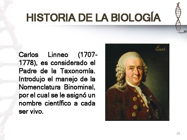 HISTORIA DE LA BIOLOGÍA Carlos Linneo (17071778), es considerado el Padre de la Taxonomía.