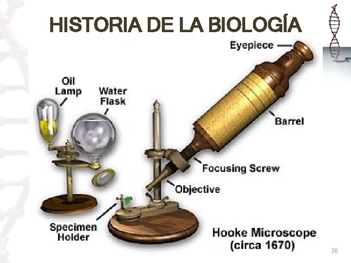 HISTORIA DE LA BIOLOGÍA 30 