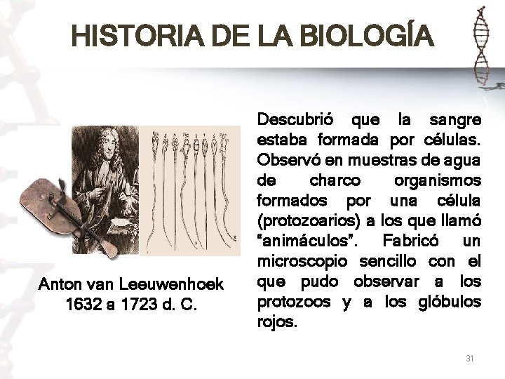 HISTORIA DE LA BIOLOGÍA Anton van Leeuwenhoek 1632 a 1723 d. C. Descubrió que