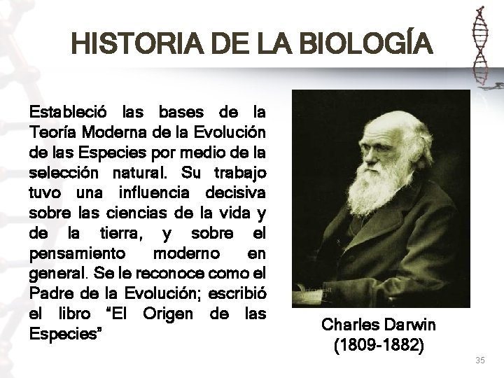 HISTORIA DE LA BIOLOGÍA Estableció las bases de la Teoría Moderna de la Evolución