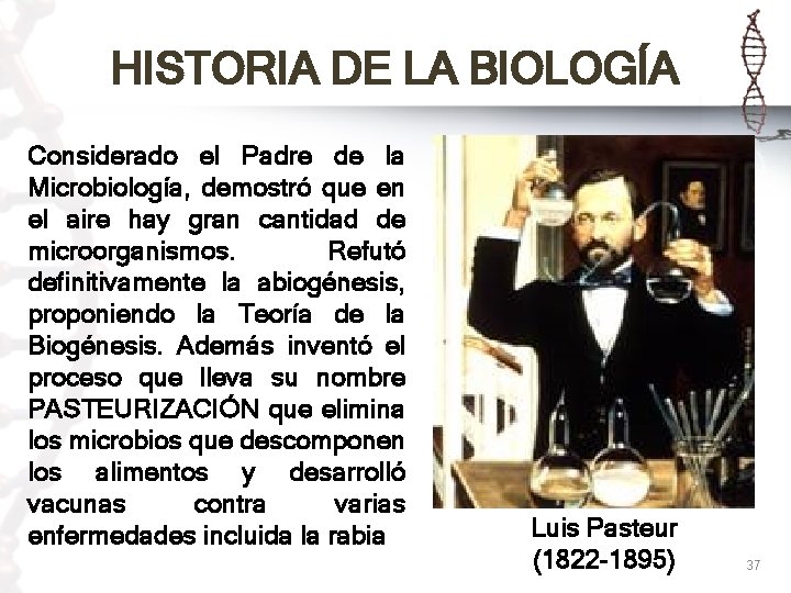 HISTORIA DE LA BIOLOGÍA Considerado el Padre de la Microbiología, demostró que en el