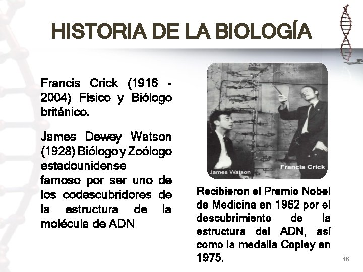 HISTORIA DE LA BIOLOGÍA Francis Crick (1916 - 2004) Físico y Biólogo británico. James