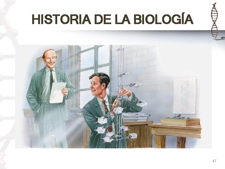 HISTORIA DE LA BIOLOGÍA 47 