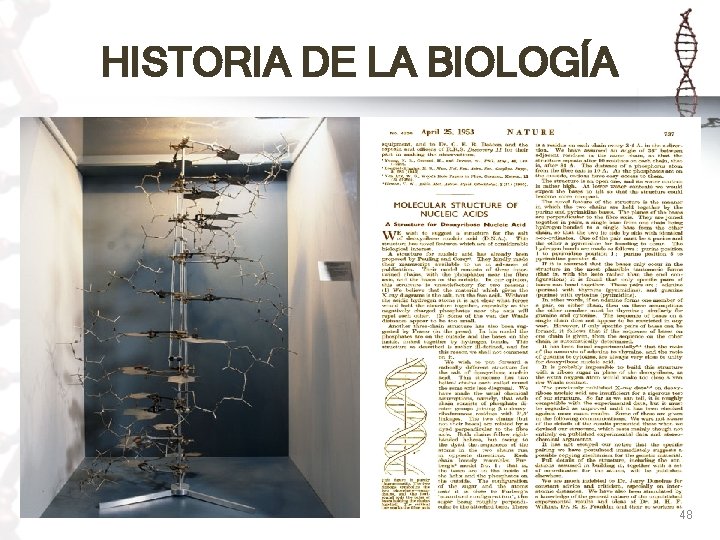 HISTORIA DE LA BIOLOGÍA 48 