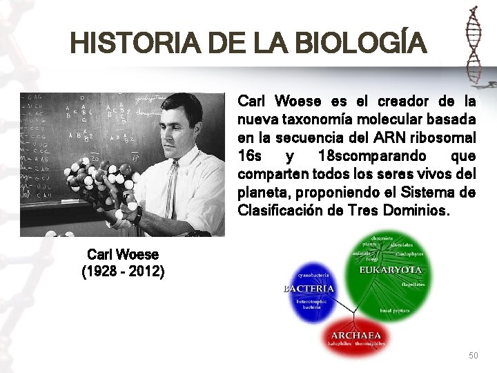 HISTORIA DE LA BIOLOGÍA Carl Woese es el creador de la nueva taxonomía molecular