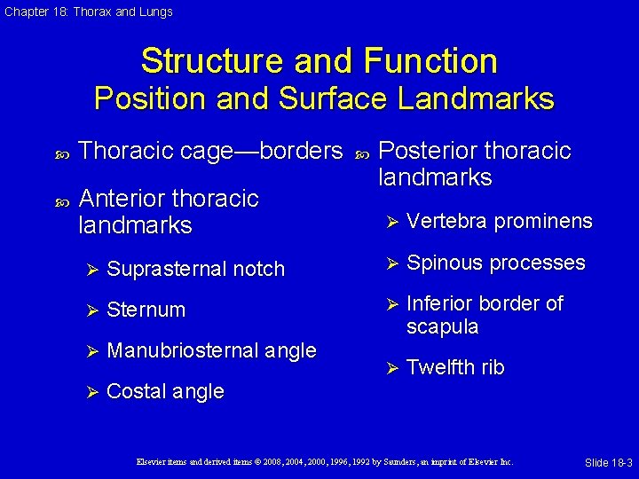 Chapter 18: Thorax and Lungs Structure and Function Position and Surface Landmarks Thoracic cage—borders