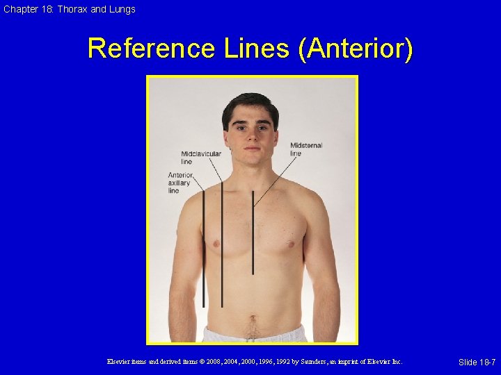 Chapter 18: Thorax and Lungs Reference Lines (Anterior) Elsevier items and derived items ©