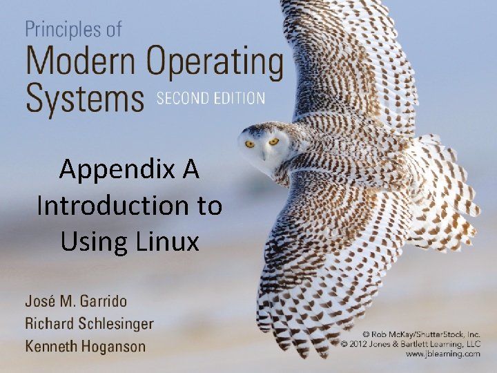 Appendix A Introduction to Using Linux 