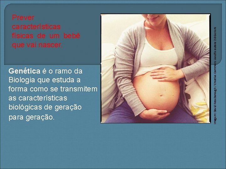 Genética é o ramo da Biologia que estuda a forma como se transmitem as