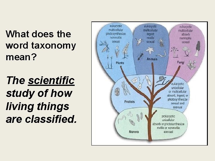 What does the word taxonomy mean? The scientific study of how living things are