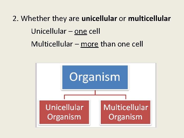 2. Whether they are unicellular or multicellular Unicellular – one cell Multicellular – more