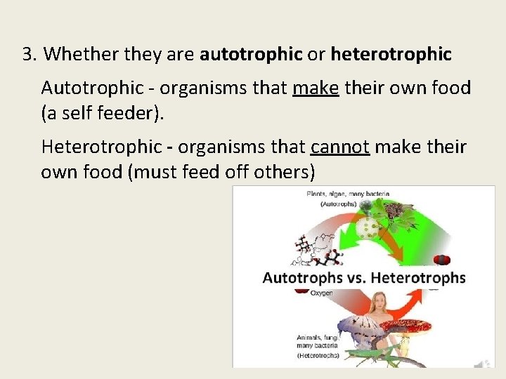 3. Whether they are autotrophic or heterotrophic Autotrophic - organisms that make their own