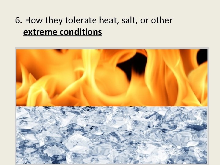 6. How they tolerate heat, salt, or other extreme conditions 
