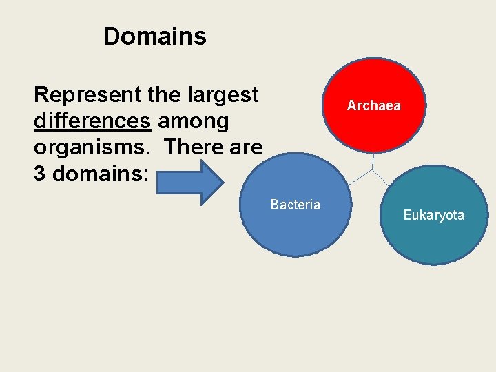 Domains Represent the largest differences among organisms. There are 3 domains: Archaea Bacteria Eukaryota