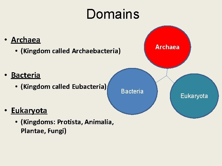 Domains • Archaea • (Kingdom called Archaebacteria) • Bacteria • (Kingdom called Eubacteria) •