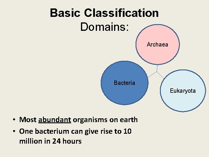 Basic Classification Domains: Archaea Bacteria Eukaryota • Most abundant organisms on earth • One
