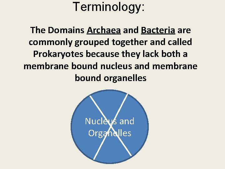 Terminology: The Domains Archaea and Bacteria are commonly grouped together and called Prokaryotes because