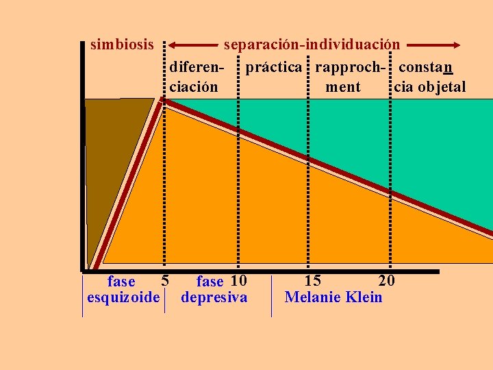 simbiosis separación-individuación diferen- práctica rapproch- constan ciación ment cia objetal 5 fase 10 esquizoide