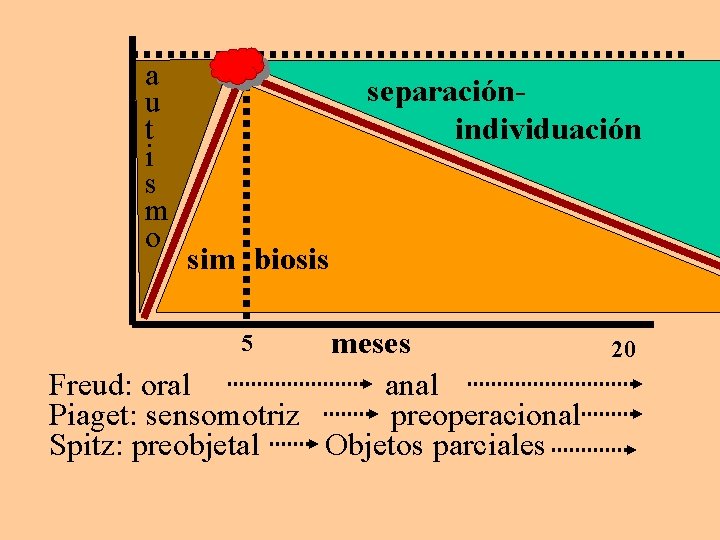 a u t i s m o separaciónindividuación sim biosis meses Freud: oral anal