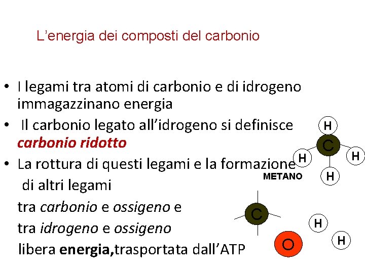L’energia dei composti del carbonio • I legami tra atomi di carbonio e di