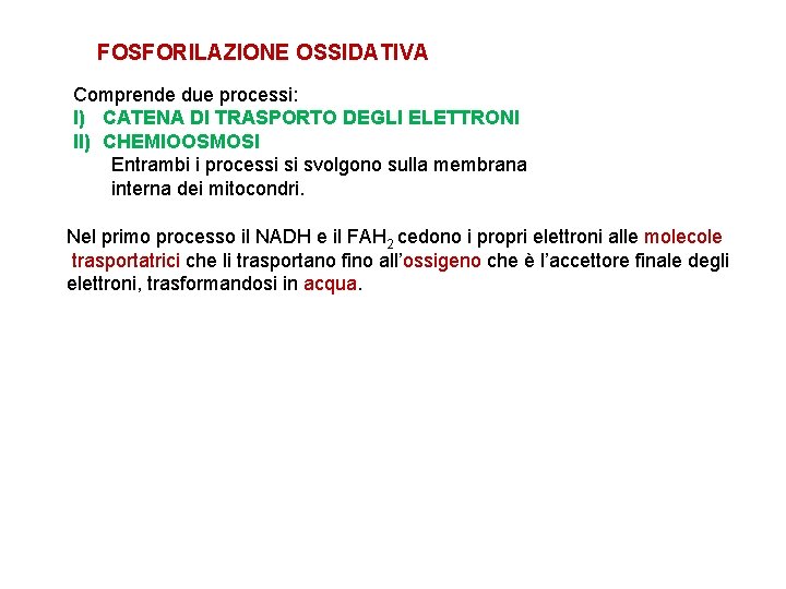 FOSFORILAZIONE OSSIDATIVA Comprende due processi: I) CATENA DI TRASPORTO DEGLI ELETTRONI II) CHEMIOOSMOSI Entrambi