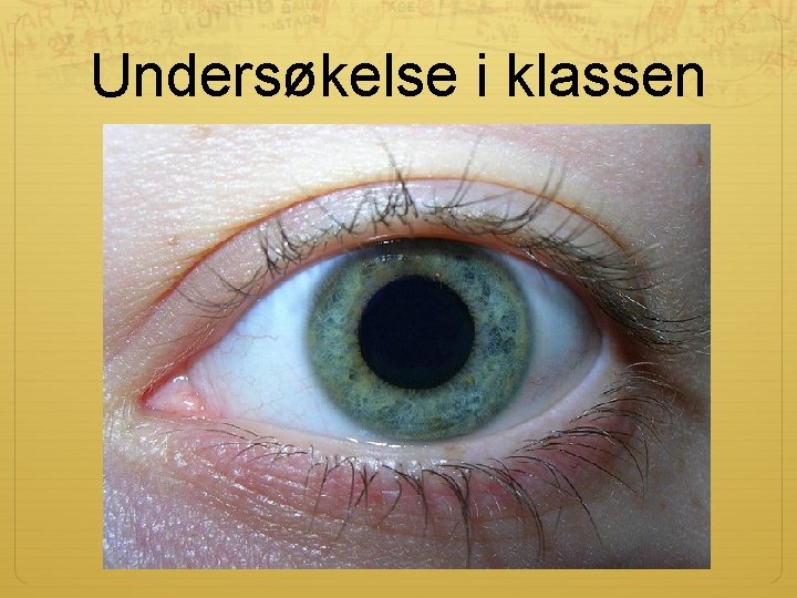 Undersøkelse i klassen Undersøkelse i klassen