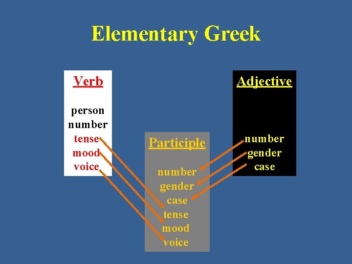 Elementary Greek Verb person number tense mood voice Adjective Participle number gender case tense