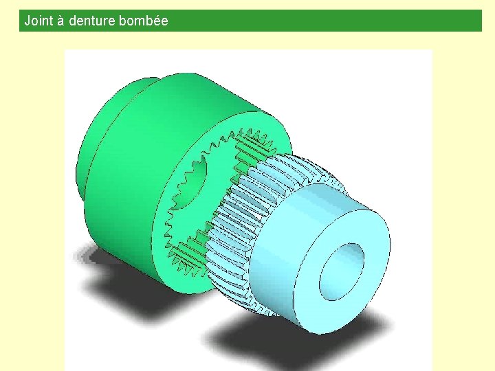 Joint à denture bombée Joint à denture bombée
