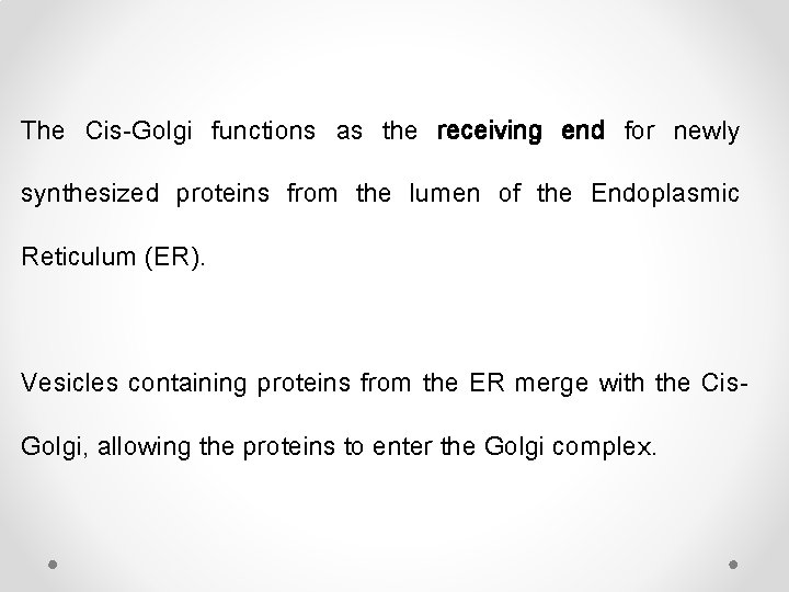 The Cis-Golgi functions as the receiving end for newly synthesized proteins from the lumen