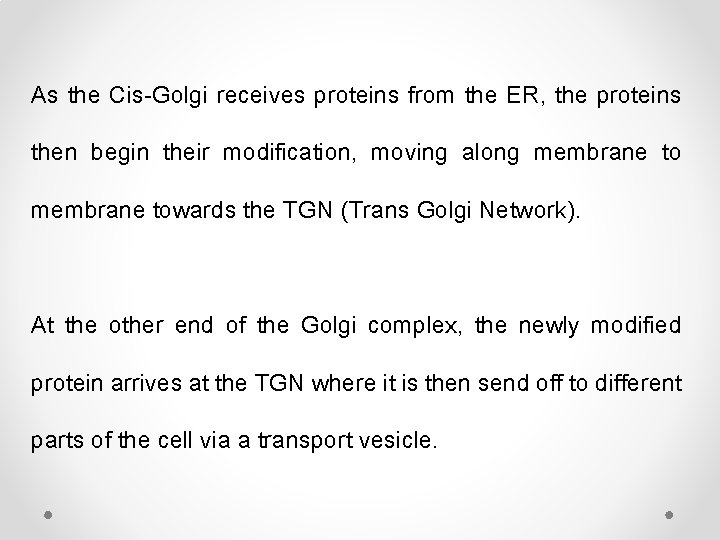 As the Cis-Golgi receives proteins from the ER, the proteins then begin their modification,