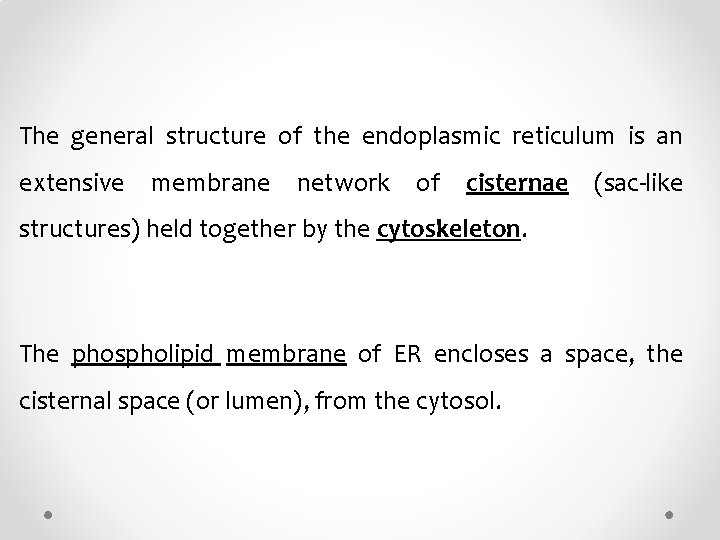 The general structure of the endoplasmic reticulum is an extensive membrane network of cisternae