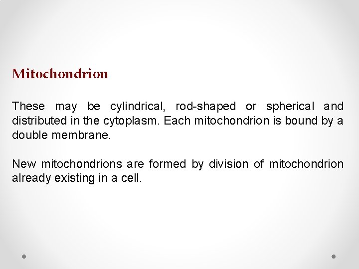 Mitochondrion These may be cylindrical, rod-shaped or spherical and distributed in the cytoplasm. Each