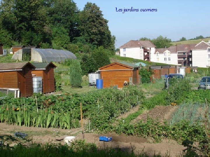 Les jardins ouvriers 