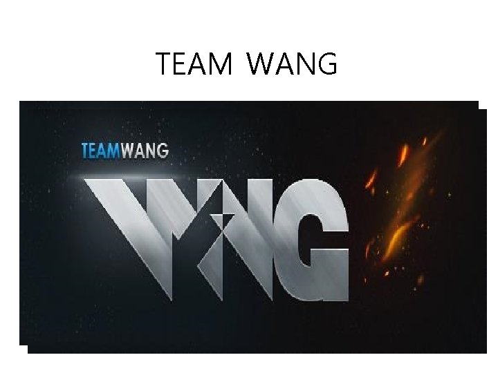 TEAM WANG 
