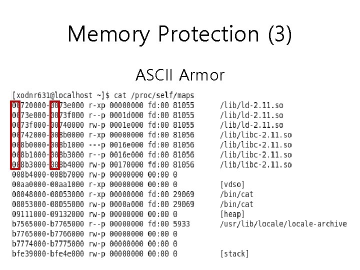 Memory Protection (3) ASCII Armor 