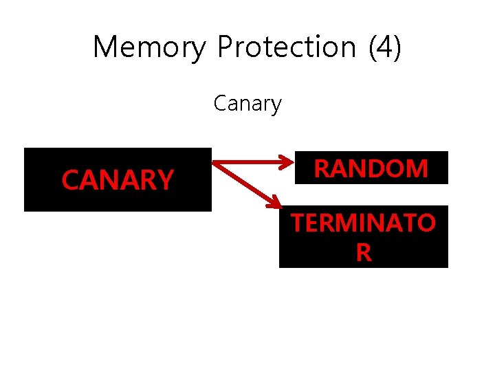 Memory Protection (4) Canary CANARY RANDOM TERMINATO R 