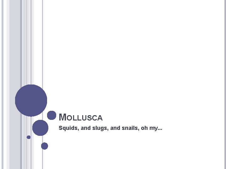 MOLLUSCA Squids, and slugs, and snails, oh my. . . 